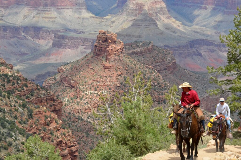 Mule ride in the Grand Canyon on Bright Angel Trail