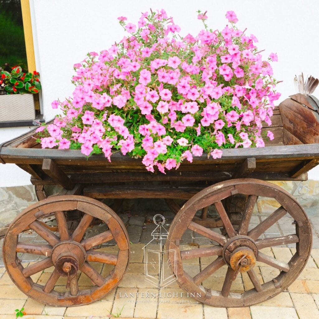 Bloom Bar Example