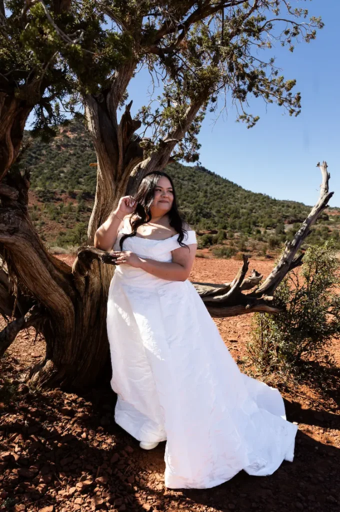 Juniper Tree at Lover's Knoll in Sedona