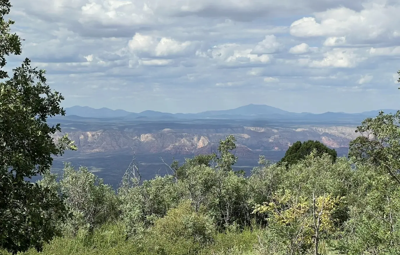 Woodchute Trail in the Woodchute Wilderness of Prescott National Forest