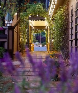 Purple flowers among a garden pathway at Lantern Light Inn and Wedding Gardens in Sedona Arizona