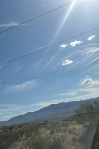 IMG-20241228-WA0232